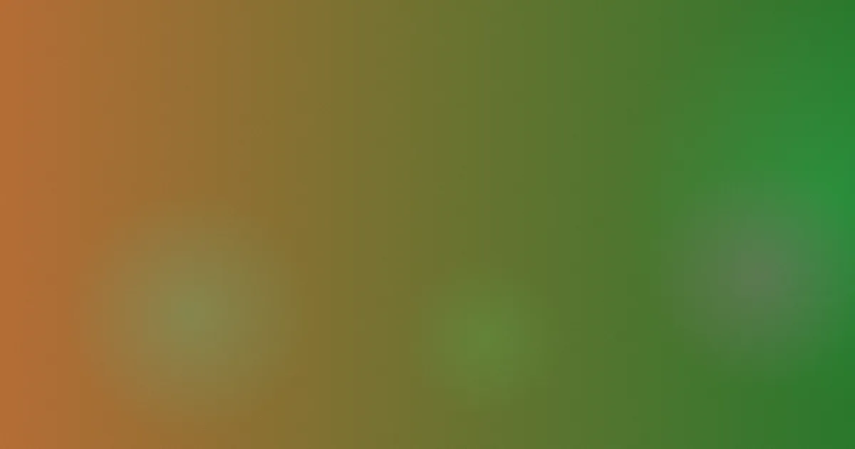 最美的时光电视剧避坑指南